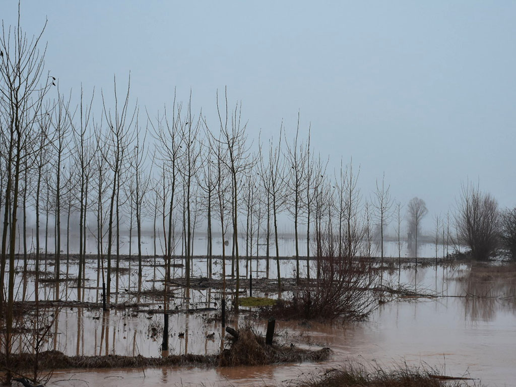 Río de la Hoz desbordado a su paso por El Olmillo. / A.M.