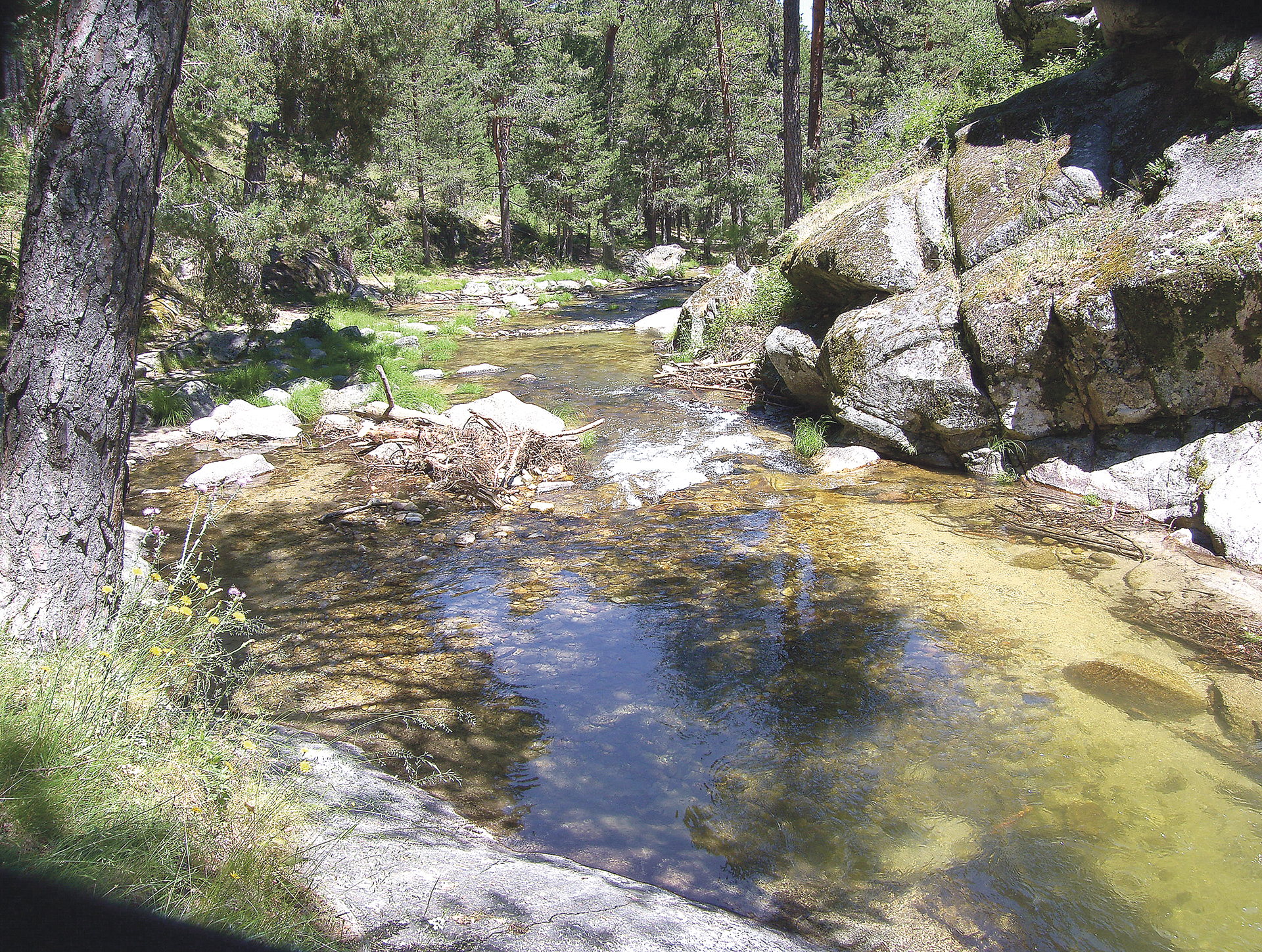 La Sierra de Madrid (antes del Guadarrama) 1 Las Pesquerias Reales. Jesús Fuentetaja.