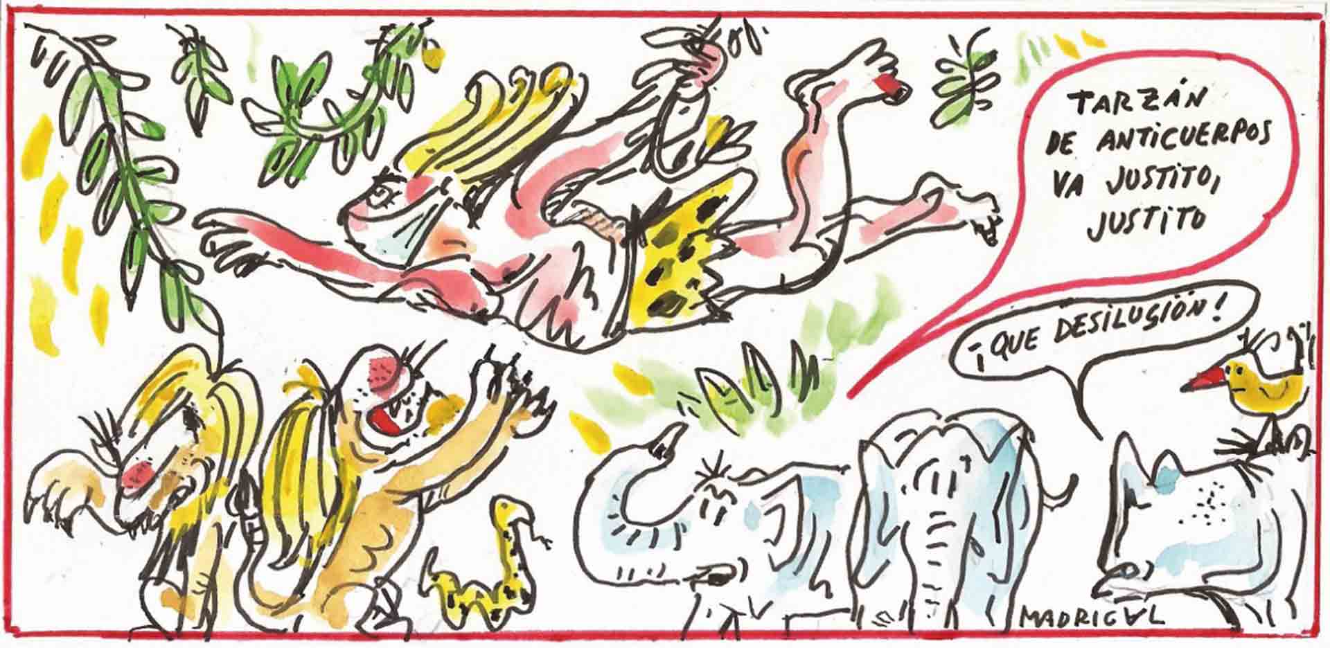 03 01 Madrigal Colaboracion 8 2 2021 Tarzan