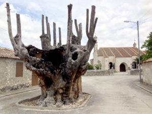 El municipio de Frumales localiza una pila bautismal sustraída hace 60 años 2 14 1 olma frumales