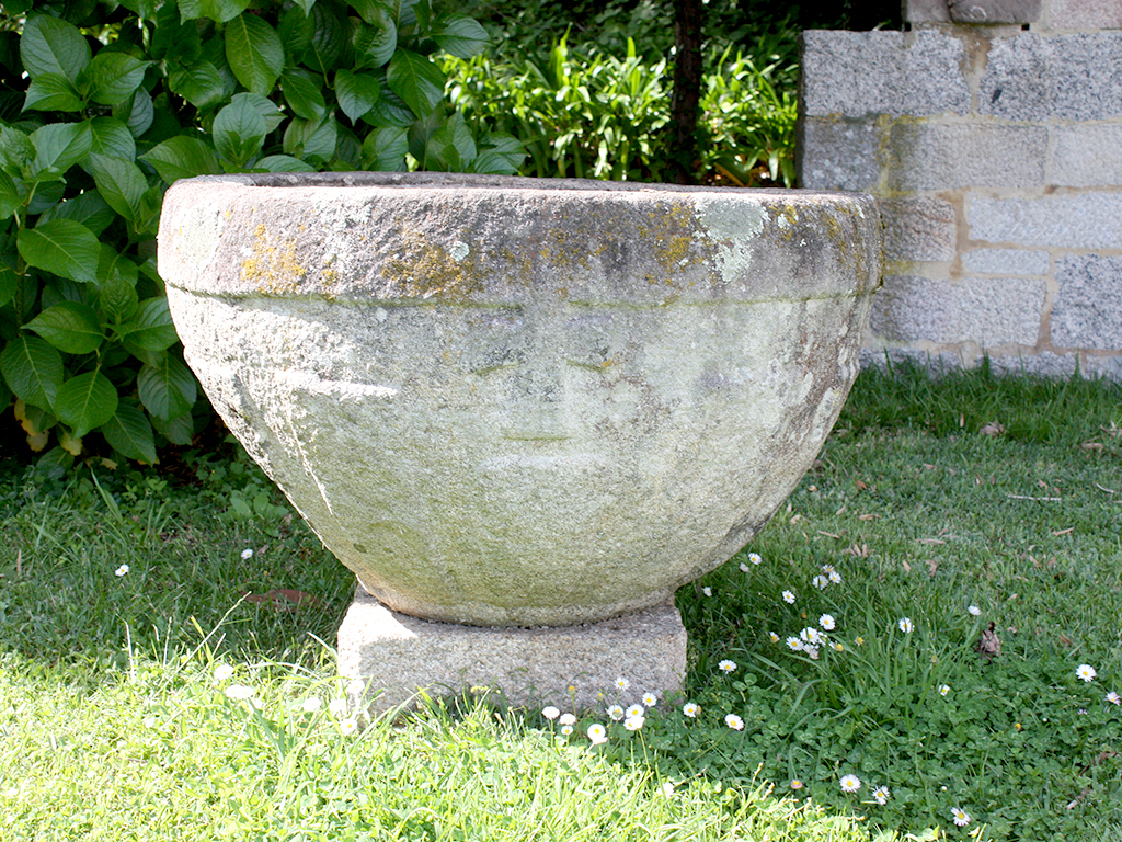 Investigadora por pasión 2 Pila de Frumales.