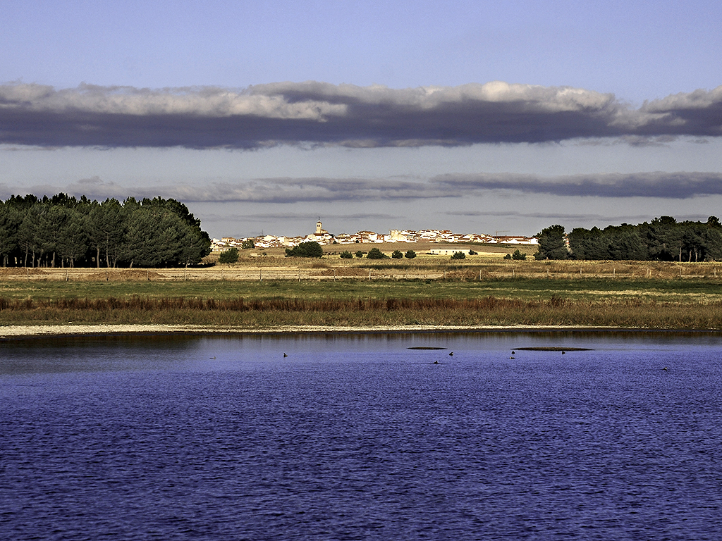Vista de los humedales de Cantalejo, con la localidad briquera al fondo. /E.A.