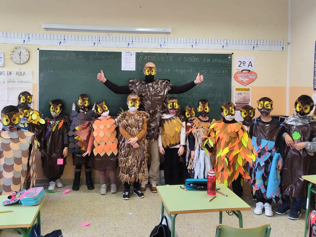 8 5 carnaval fray juan