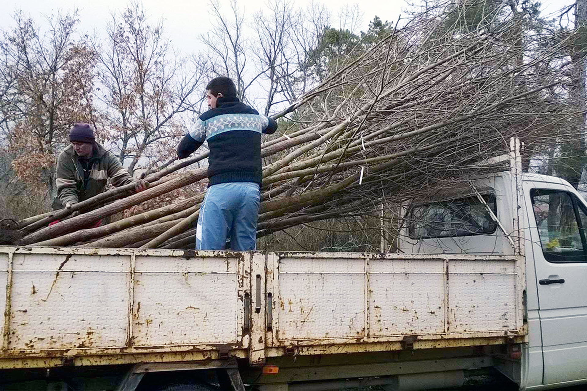 Diputacion reparto olmos