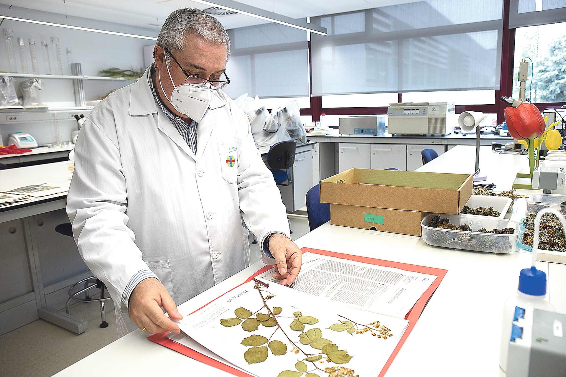 El profesor José Alfredo Vicente Orellana, en su laboratorio. / EL ADELANTADO