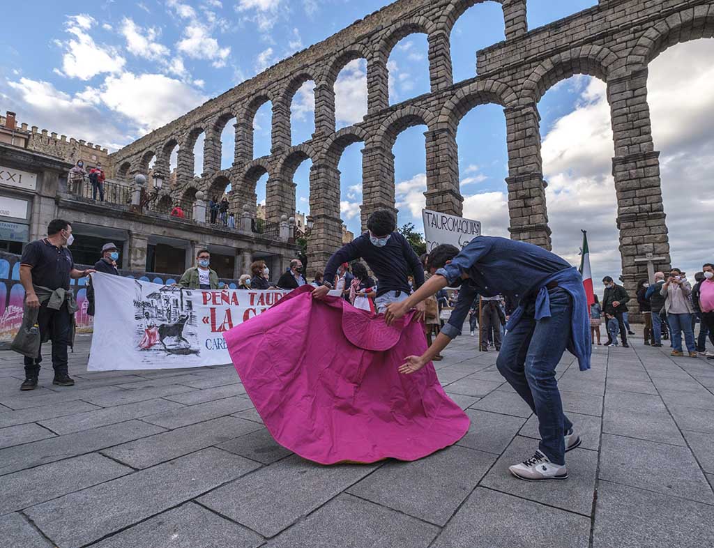 Manifestacion Favor Toros Segovia