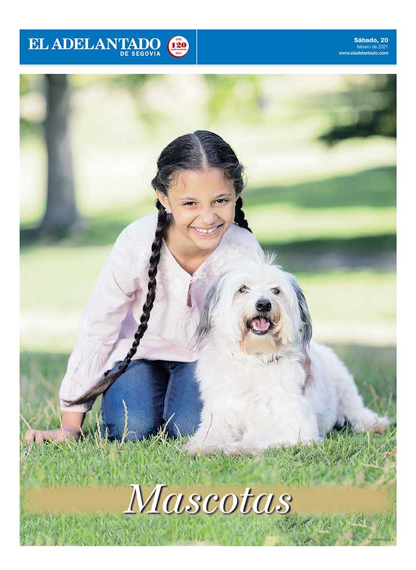 Mascotas 2021 1