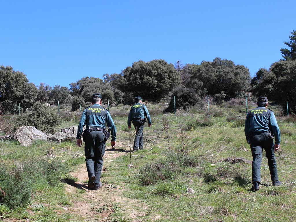 La Guardia Civil ha investigado los hechos en el interior de la parcela. / EL ADELANTADO
