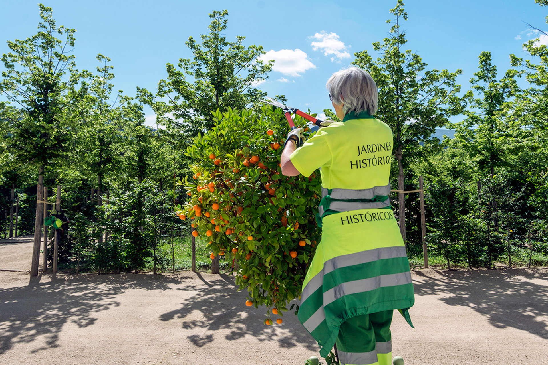 La jardinería es unas de las materias que se imparte en las escuelas de Patrimonio. /KAMARERO