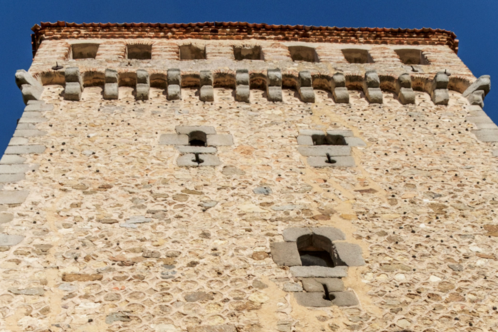 Torreon Lozoya KAM5671