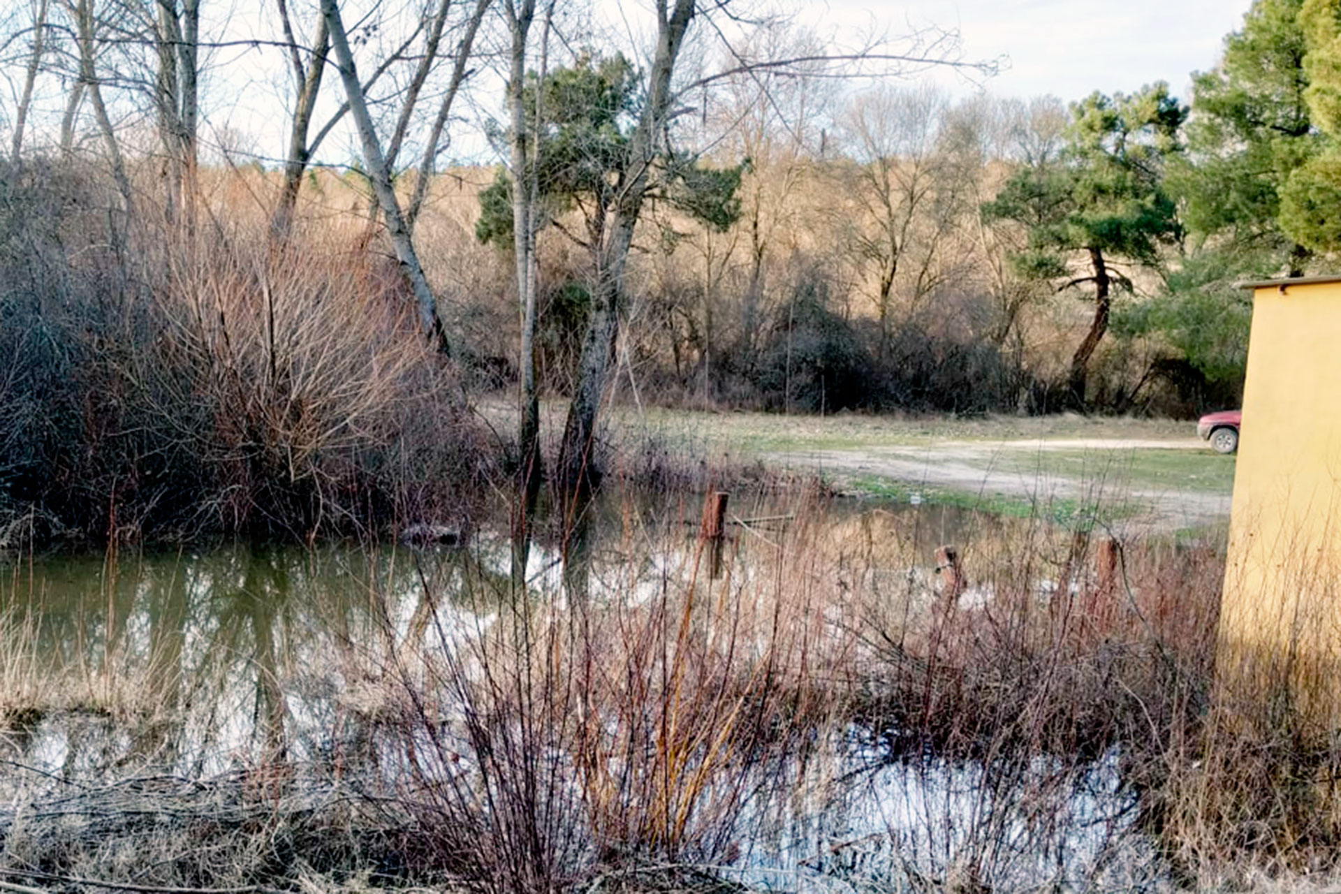 Vista de la zona del río Cega cercana a la toma de captación de agua de Aguilafuente. / EL ADELANTADO