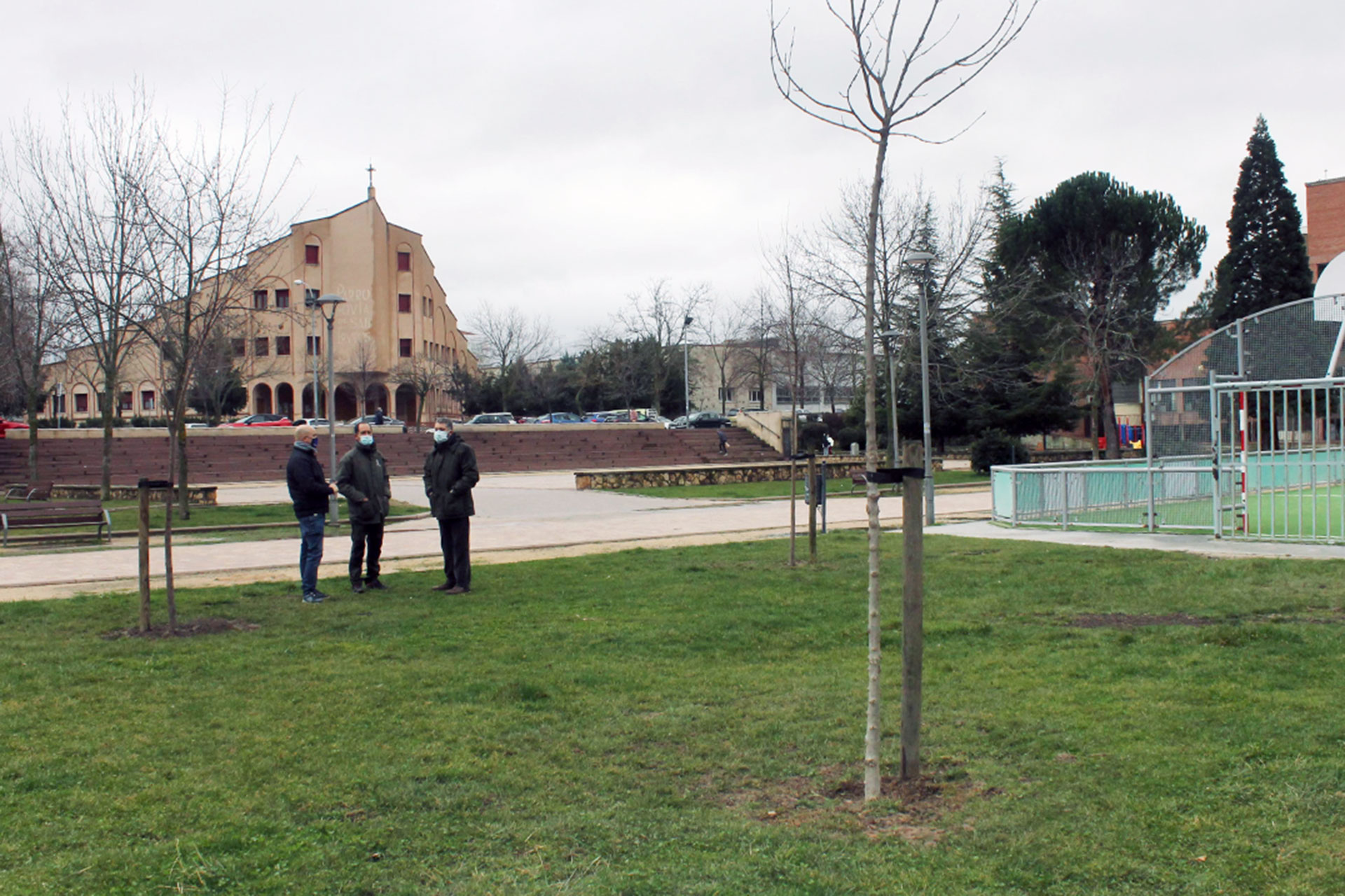 ayuntamiento plantacion arboles parque penascal