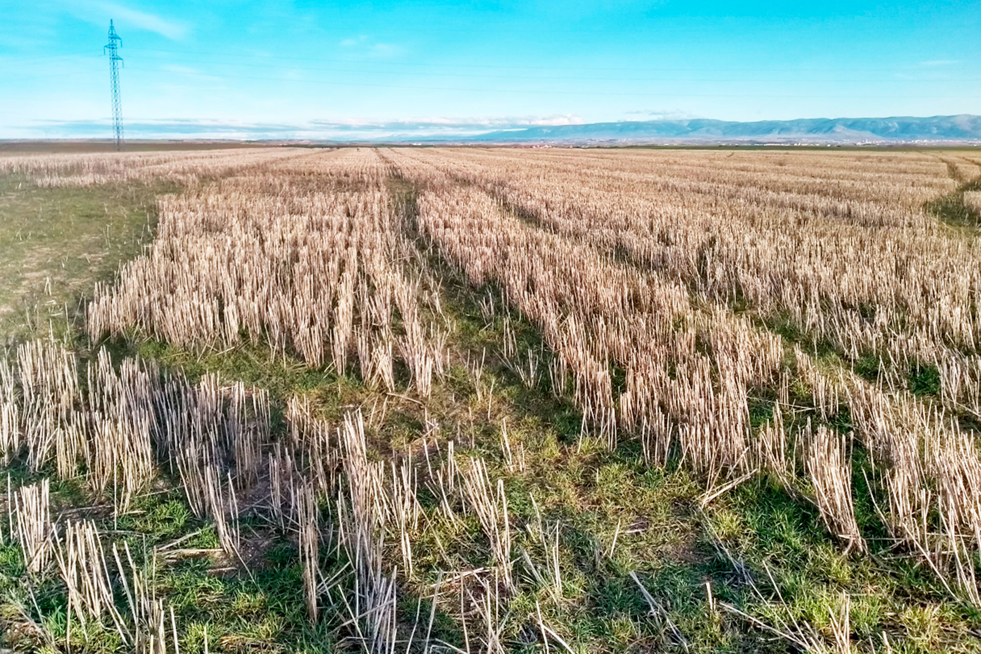 En este terreno se proyecta ubicar la planta de ‘Otero’, de Iberdrola. /E.A.