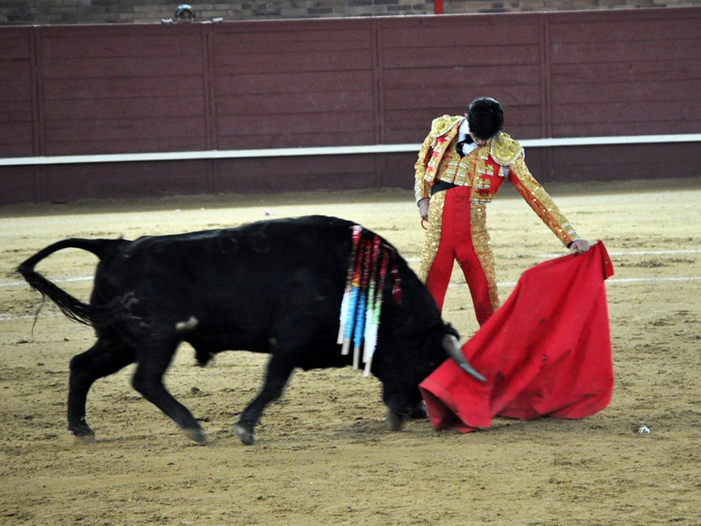 Víctor Barrio torea al natural en la plaza de Valdemorillo en el mano a mano de 2011. / VICTORBARRIO.ES