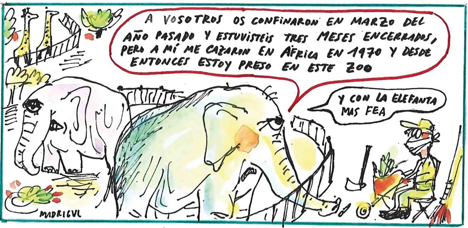 03 01 Colaboracion Elefante 2