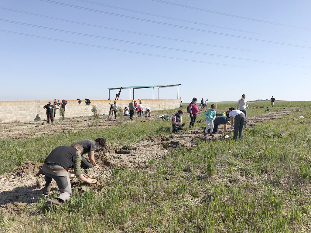 navas de oro lala branza