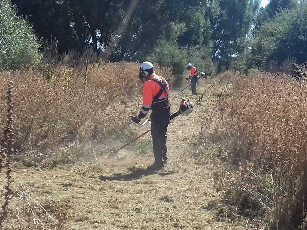 Cuadrillas desbrozan una senda en Boceguillas