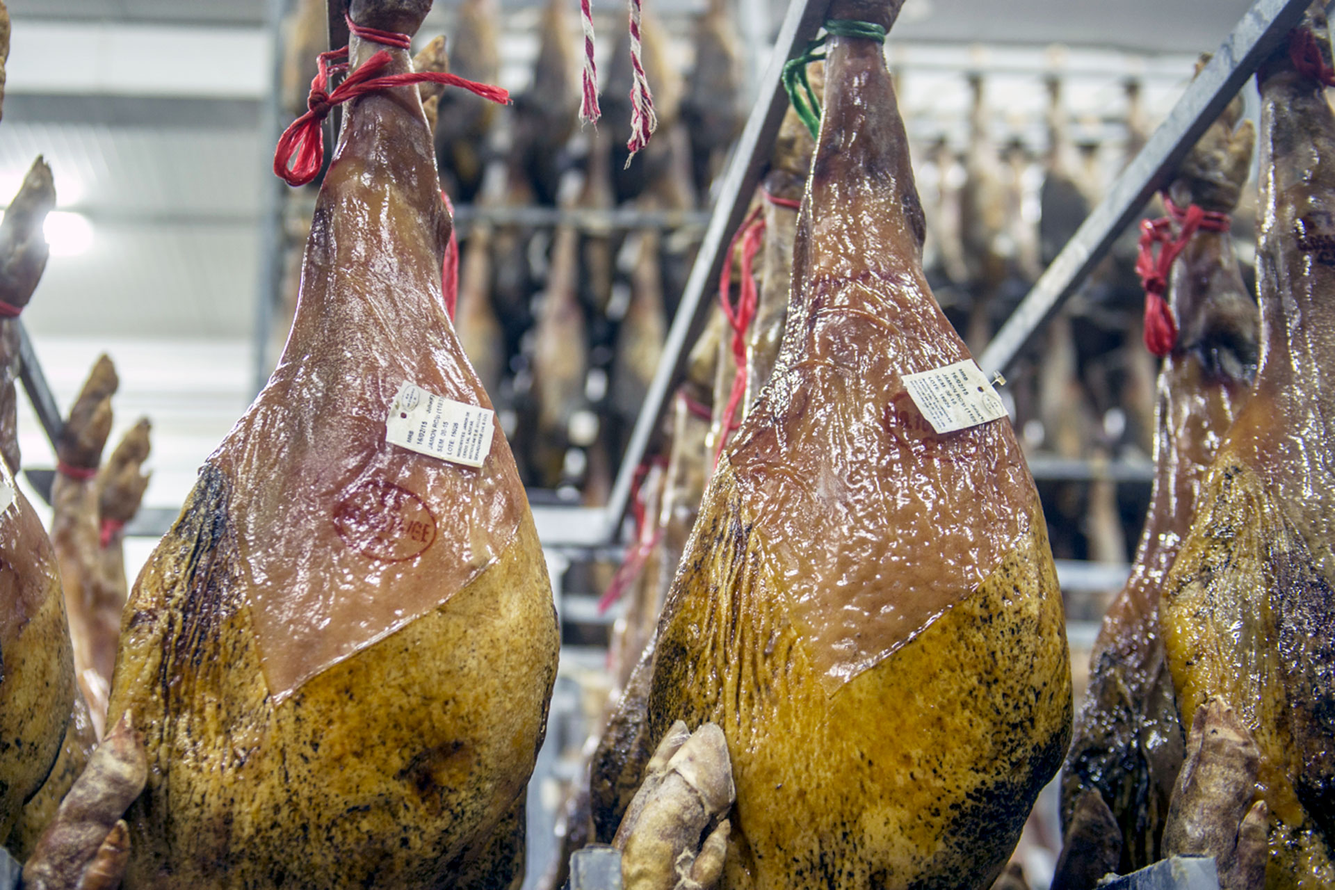 Fabrica Jamones KAM0295