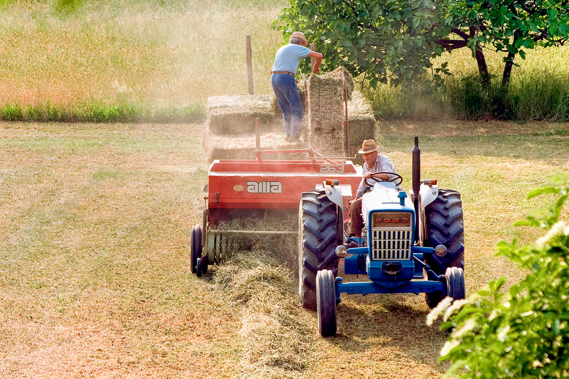 agricultura union de uniones tractor balas paja