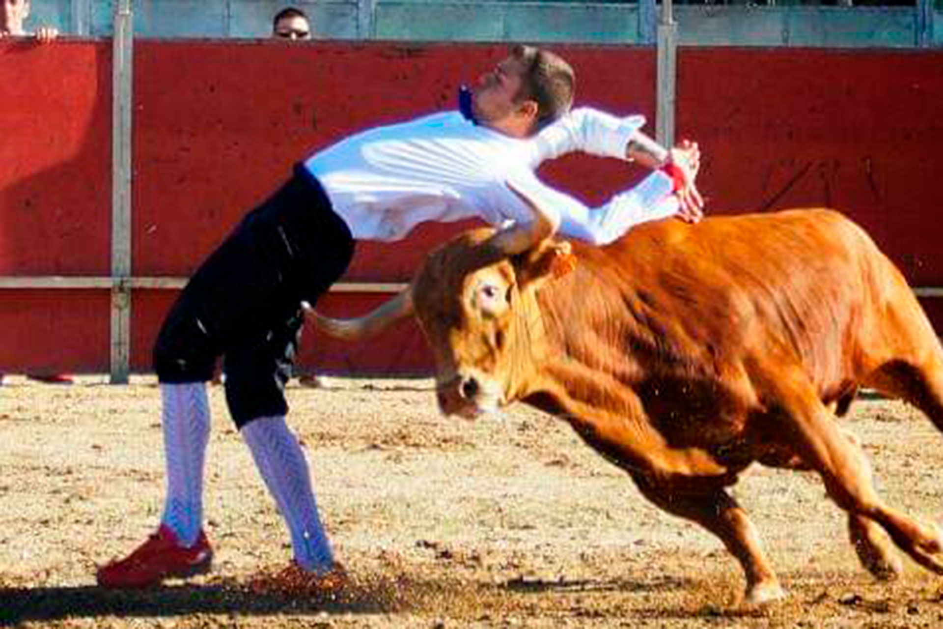 ciclismo francisco herrero recortador toros 3