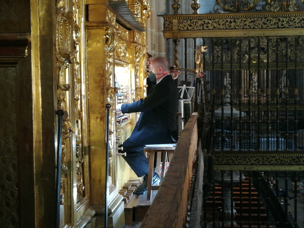 concierto de organo catedral