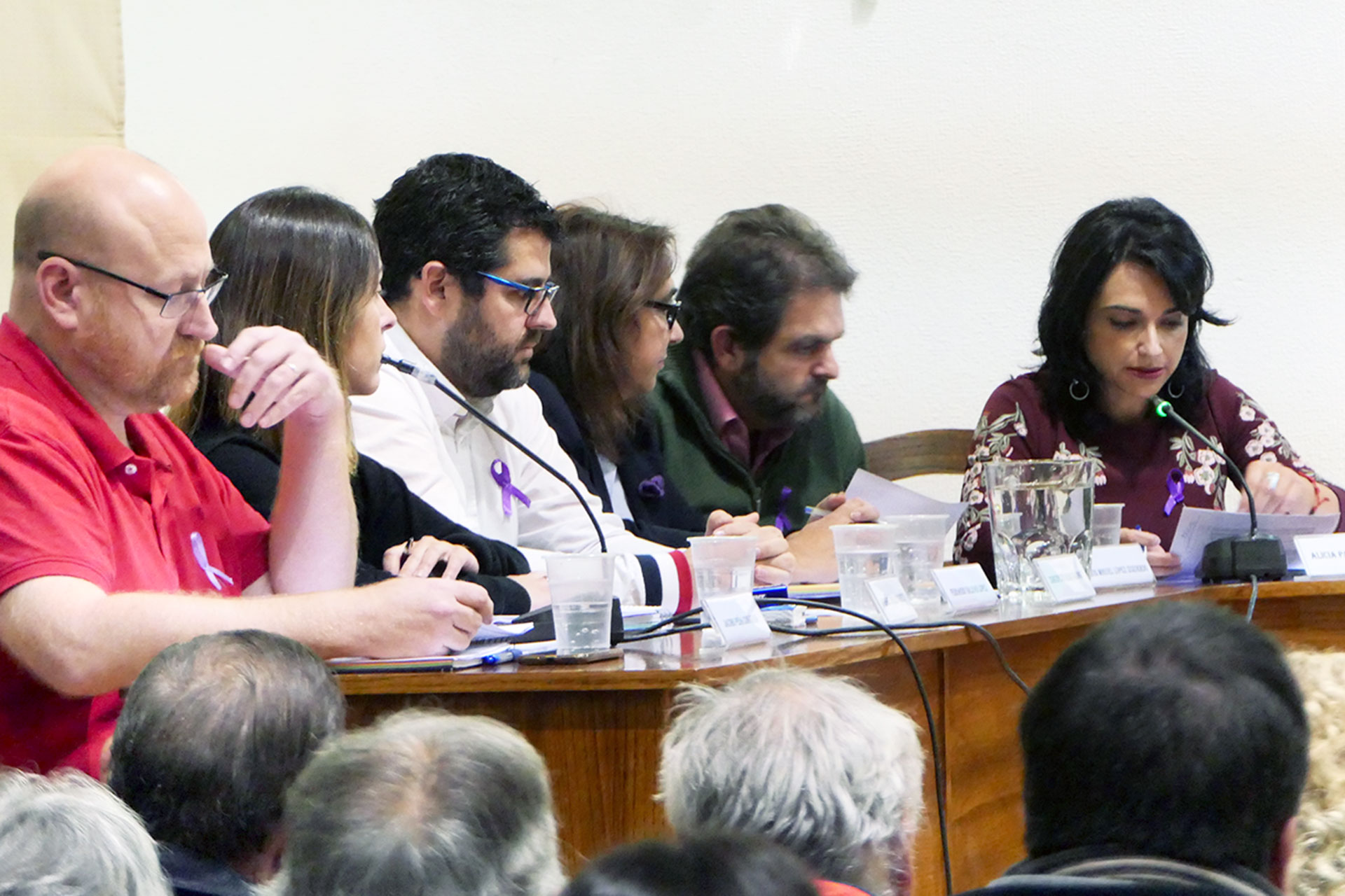 el espinar pleno psoe