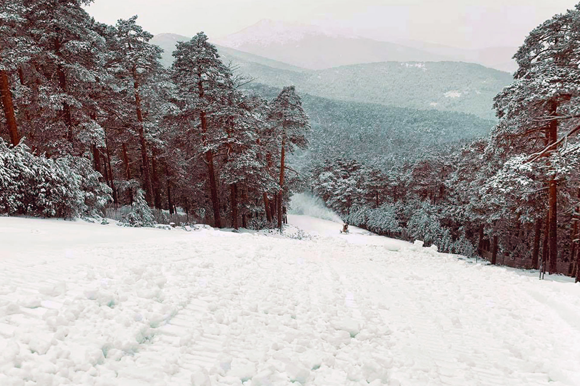 estacion navacerrada