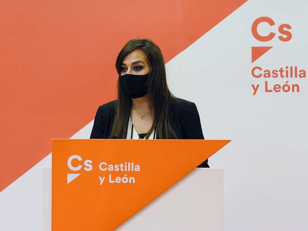 gemma villarroel ciudadanos castilla y leon