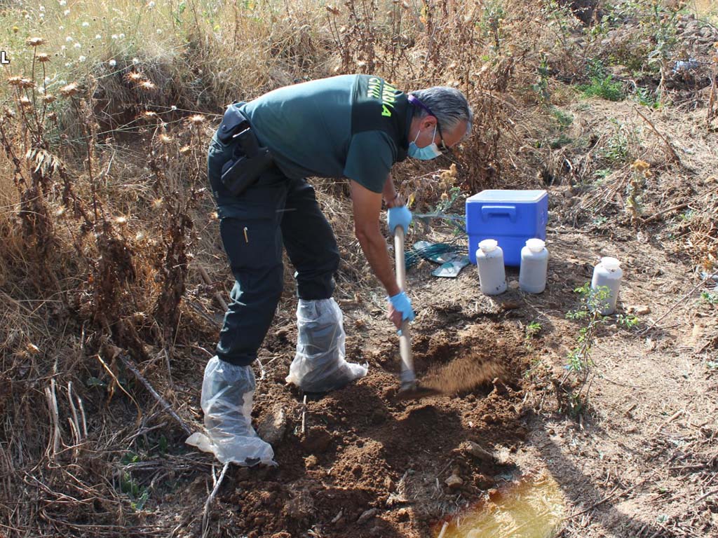 guardia civil investigado purines