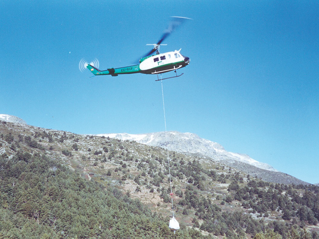 regeneracion estacion esqui cotos