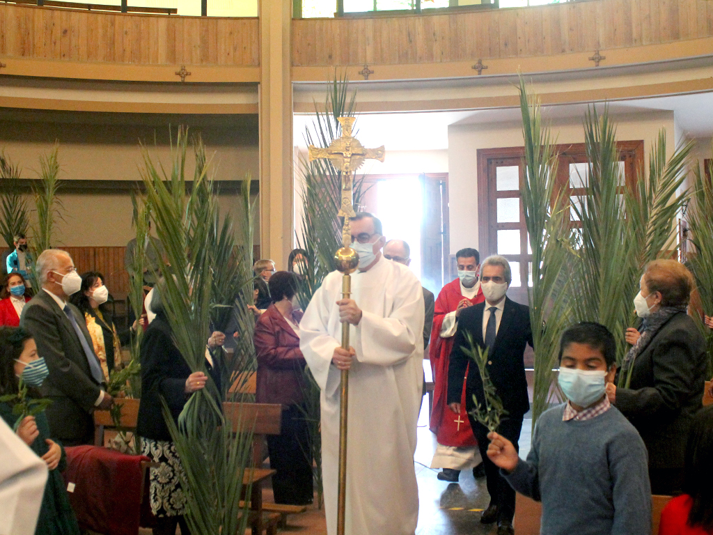 semana santa domingo de ramos