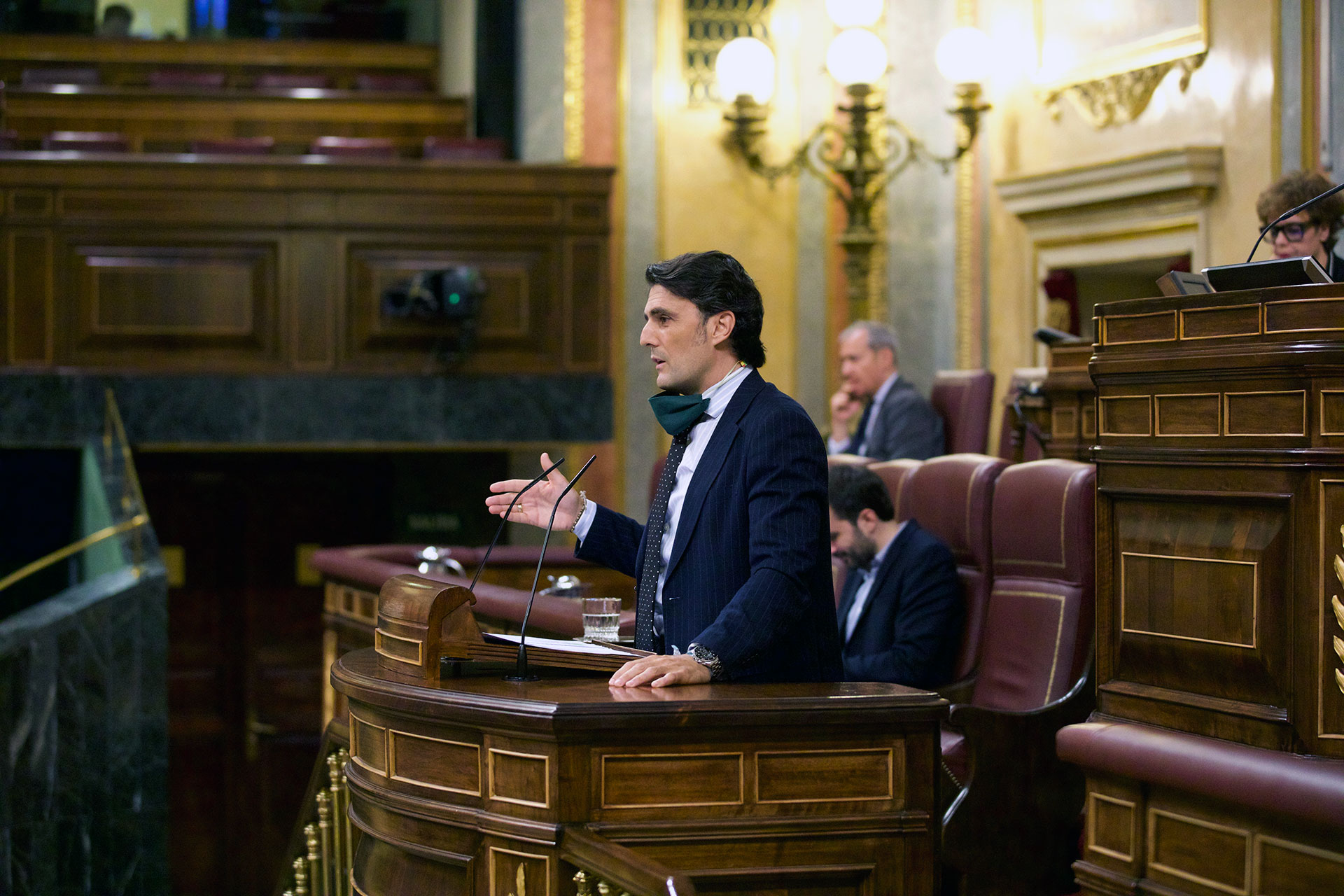 vox rodrigo jimenez congreso