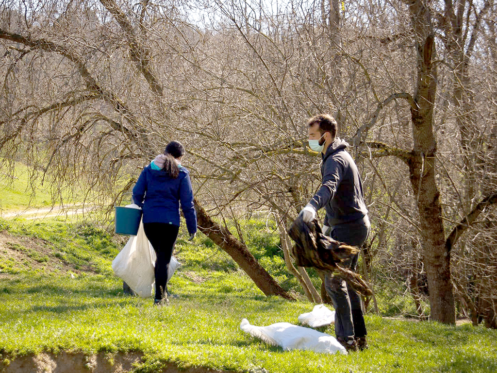 diputacion enreda en verde