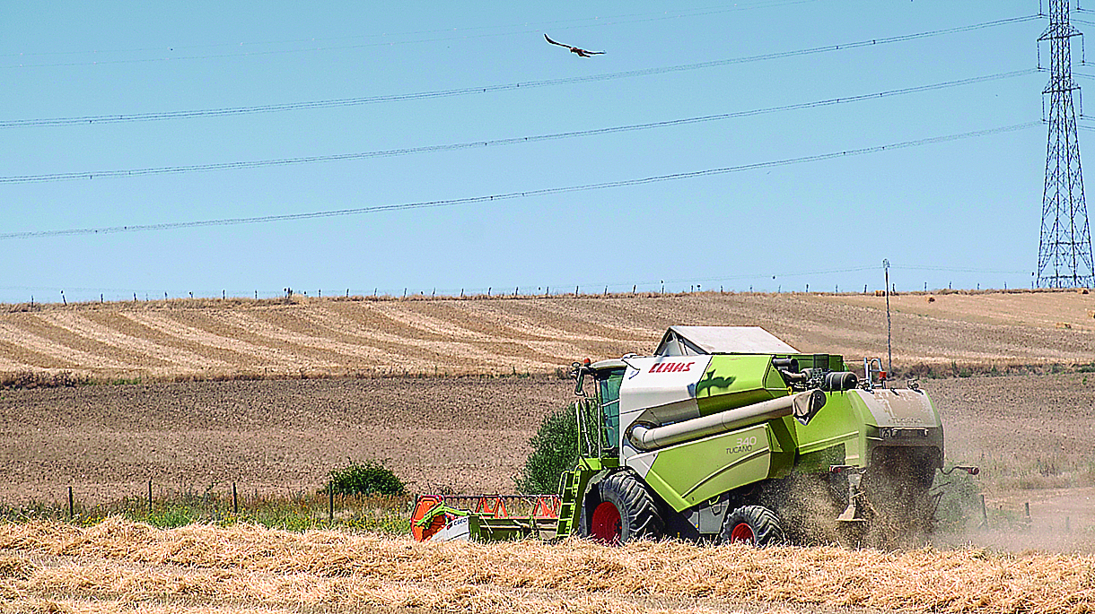 23 1kama Cosecha Cereal Fuentemilanos KAM1741