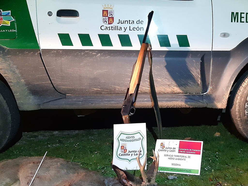 Arma y ejemplar decomisados