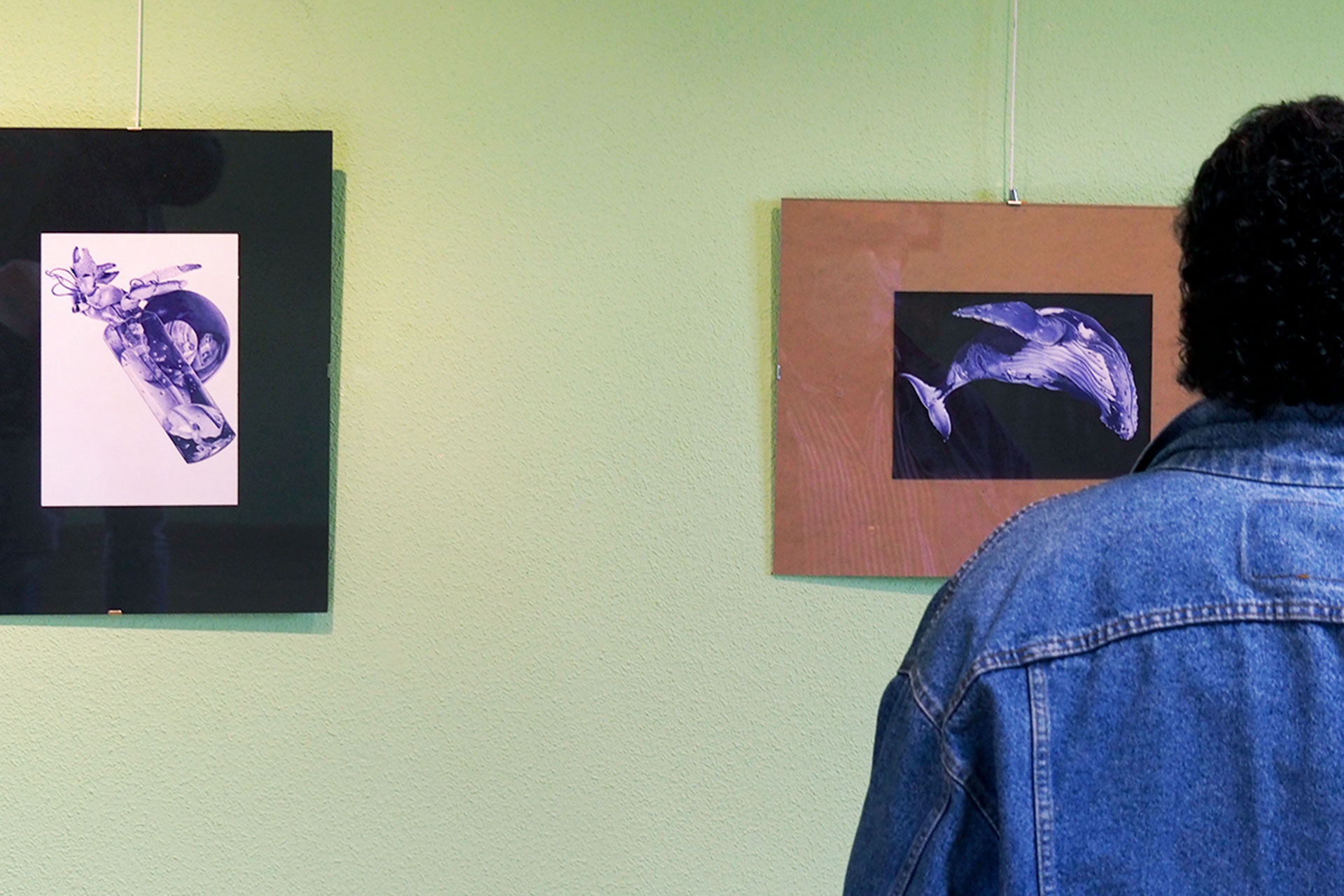 Casa Joven Expo Gustavo Garcia