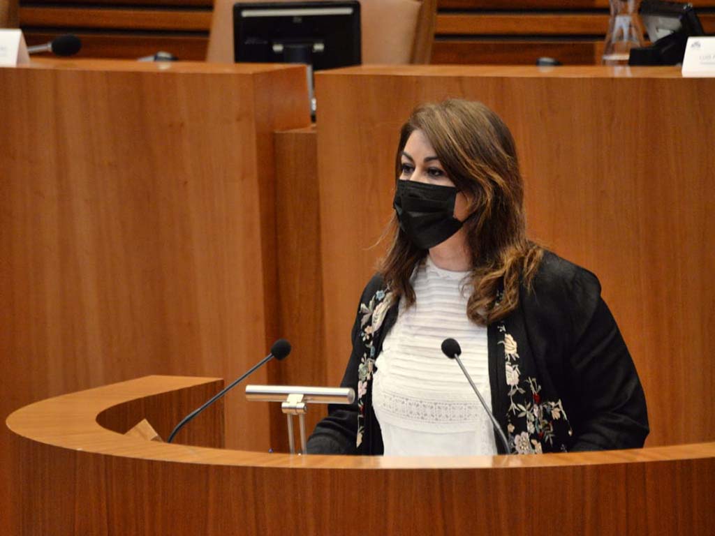 Ciudadanos Marta Sanz Pleno cortes
