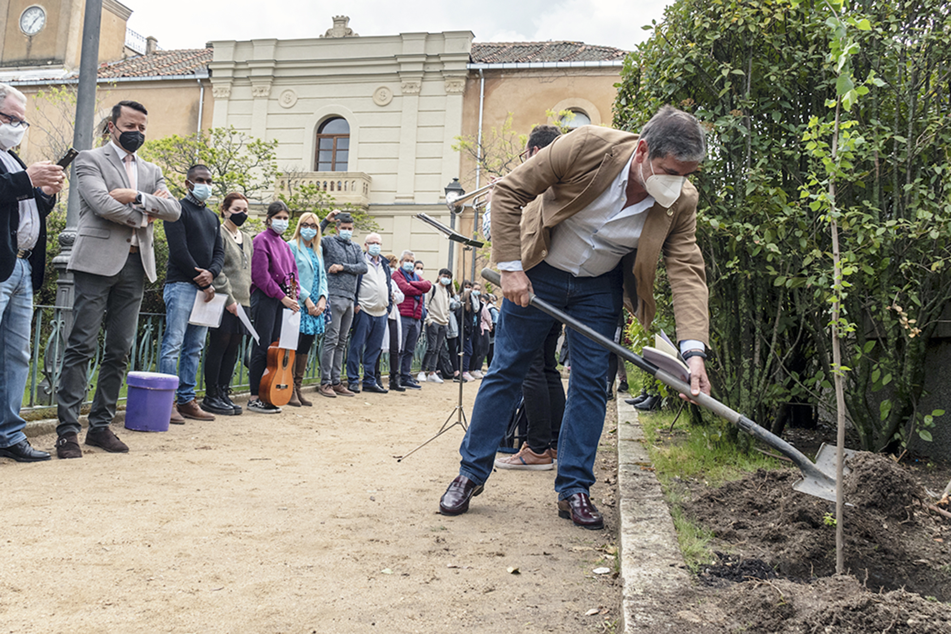 IES Mariano Quintanilla Plantacion Olmo Antonio Machado KAM0660