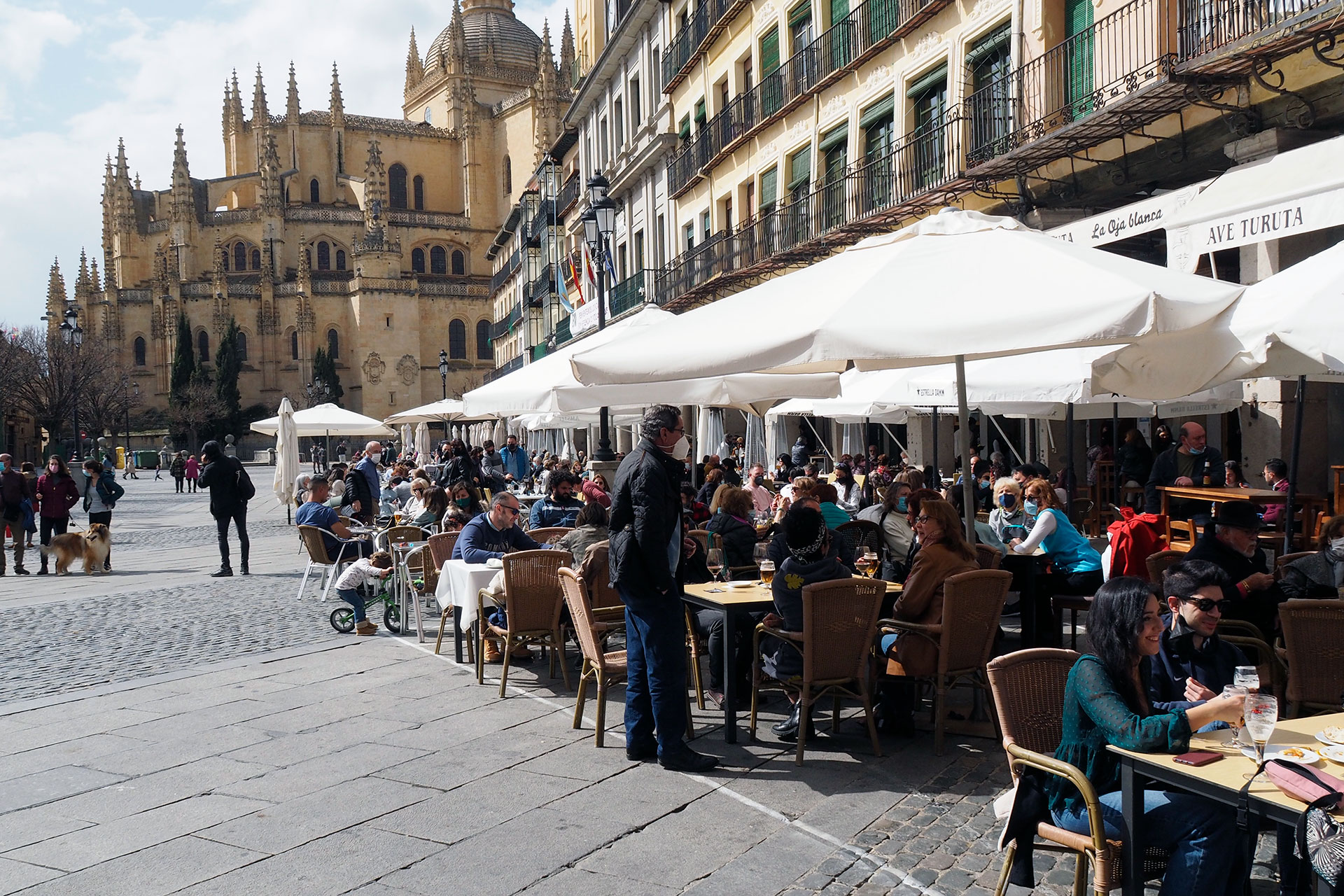 Terrazas Mascarillas Coronavirus KAM3707