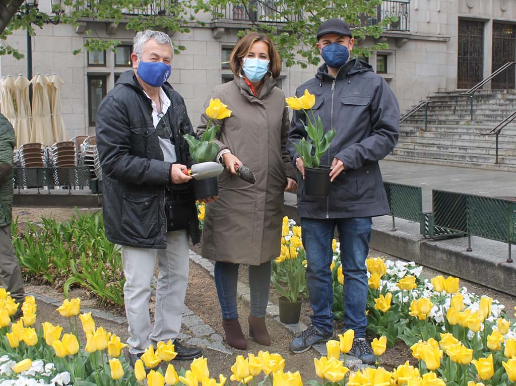 Tulipanes por el parkinson