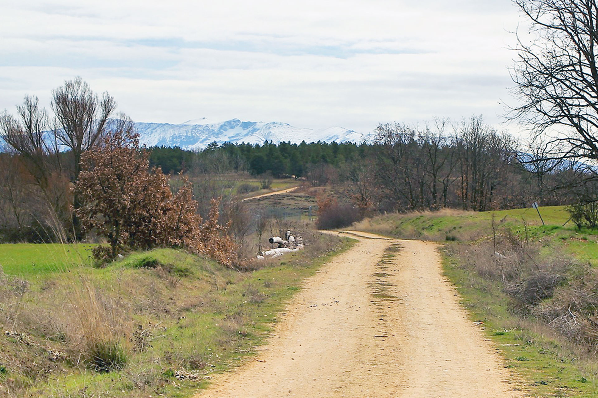 boceguillas rutas naturaleza medio ambiente