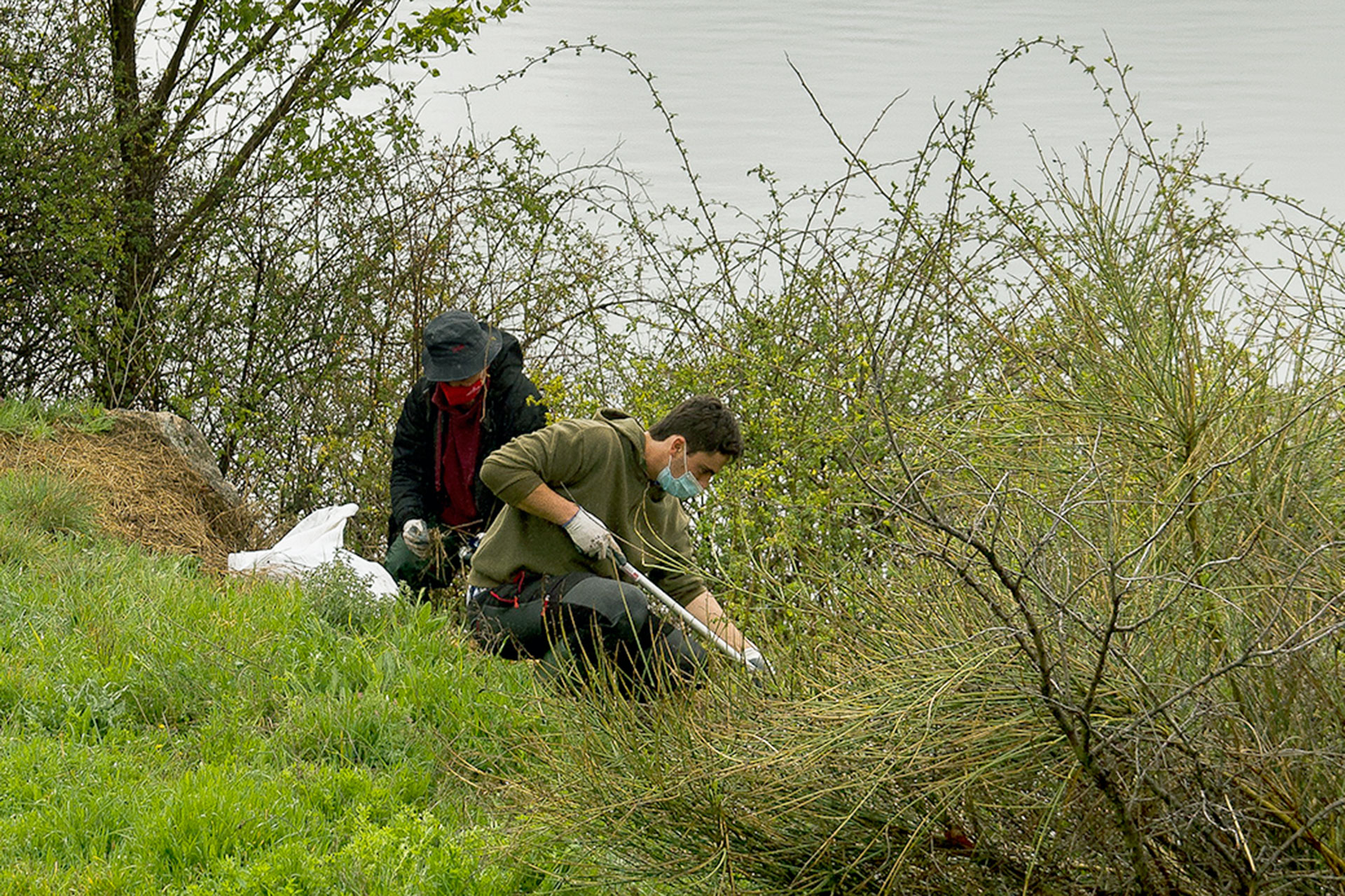 diputacion enreda en verde limpieza rio riaza