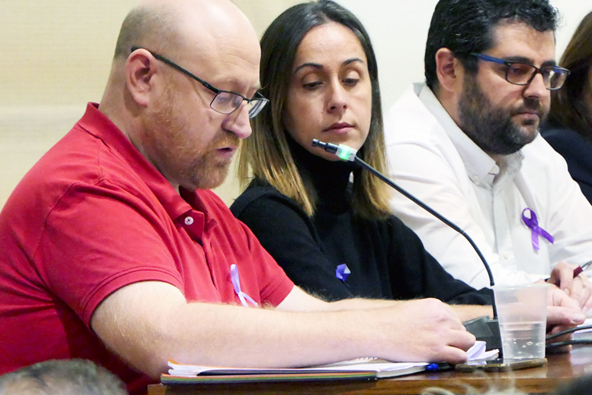 el espinar ayuntamiento pleno iu jacobo pena