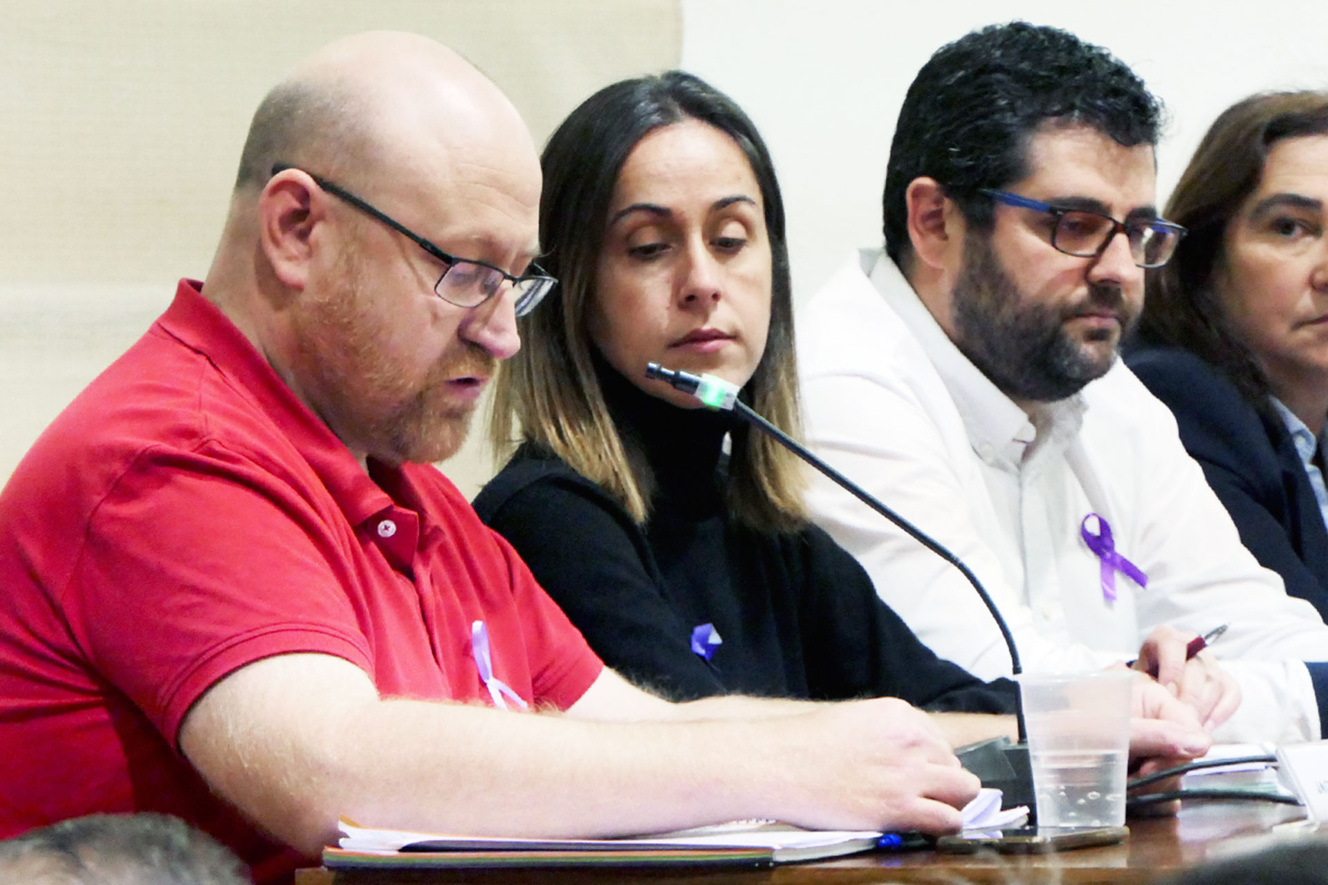 el espinar pleno iu jacobo pena