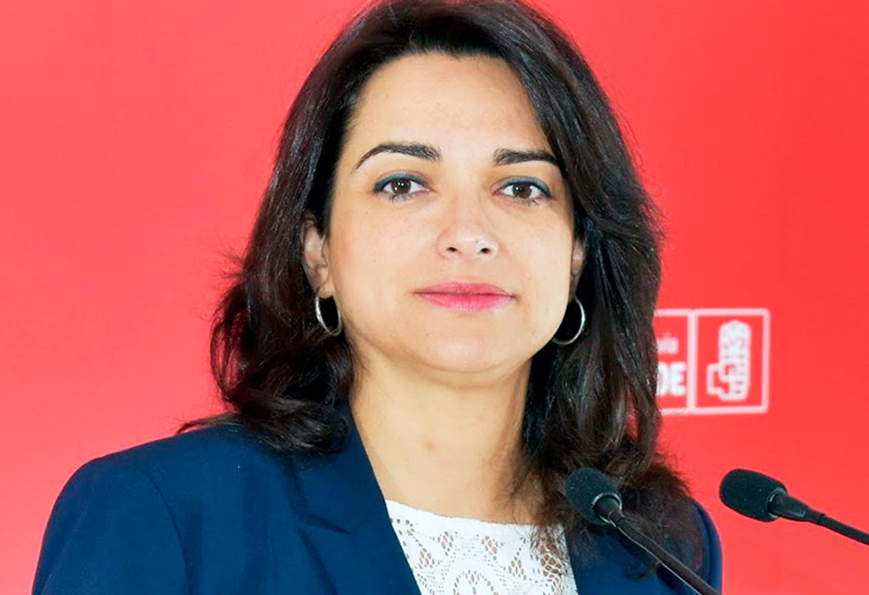 el espinar psoe alicia palomo