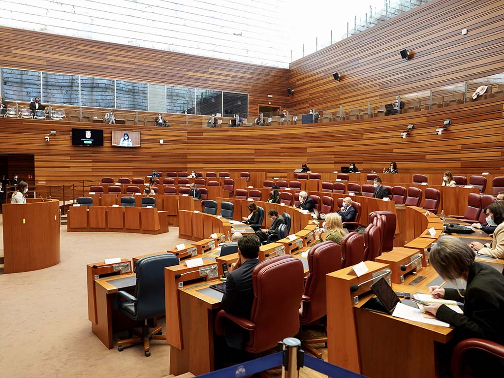 pleno cortes castilla y leon