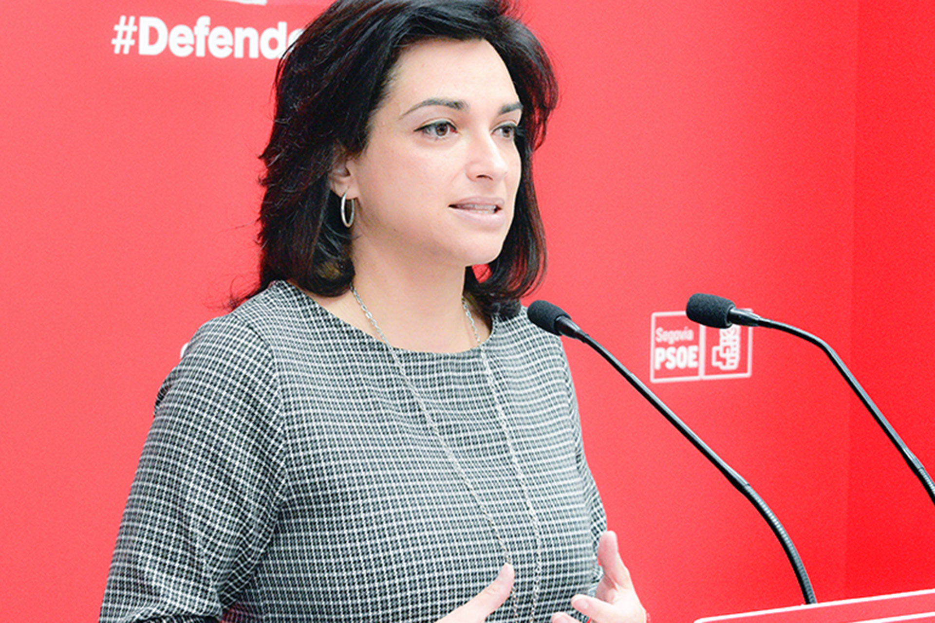 psoe alicia palomo