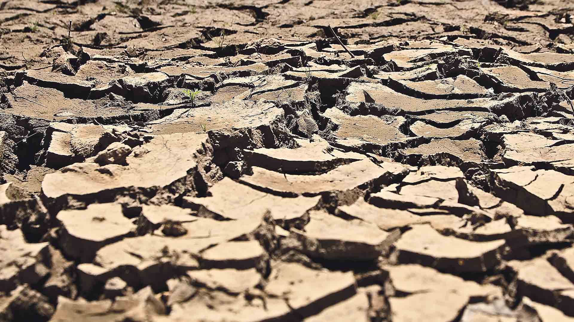 Wirestock - www.freepik.es