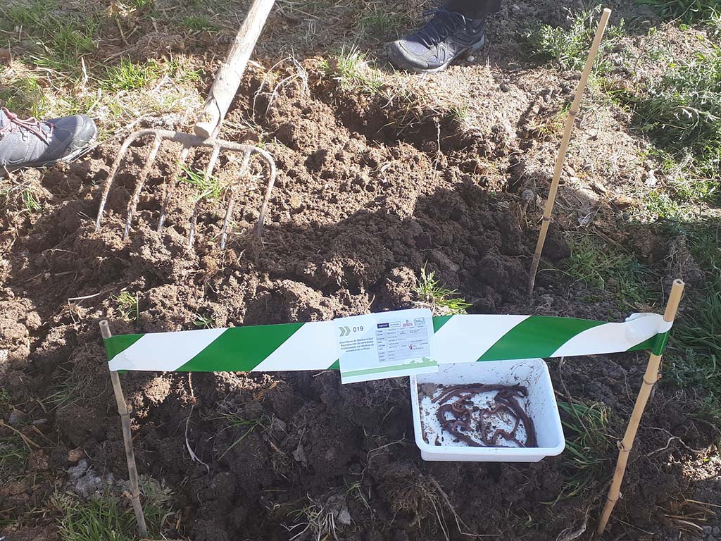 Biodiversidad Abades