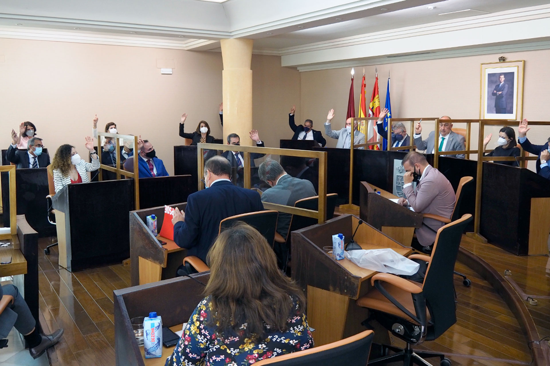 Pleno de la Diputación